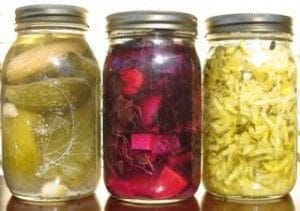 Repairvite: Fermented Foods Are Good For You!