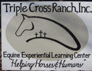 Collection Drive To Benefit Triple Cross Ranch