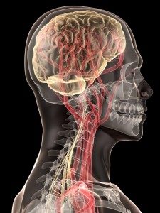 NeuroCranial Integration