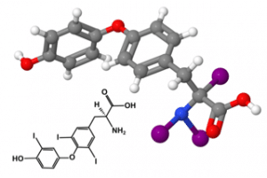 Study shows diet tames Hashimoto’s hypothyroidism